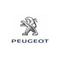 Peogeot 208 automat (set 4 stuks)