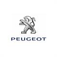 Peogeot 208 automat (set 4 stuks)