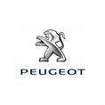 Peugeot 307 II automat (set 4 stuks)
