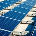 Regupol Resist Solar tegeldrager 10x10x1cm (135 stuks)