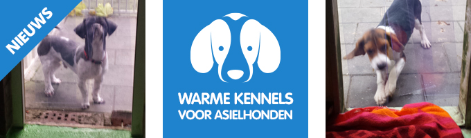Rubbermagazijn sponsort dierenasiel in Friesland