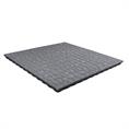 Speelplaatstegel flagstone grijs 100x50x4,8cm (inclpennen)