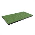 Speelplaatstegel flagstone groen 100x50x4,8cm (inclpennen)