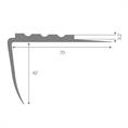 Trapneusprofiel pvc donkergrijs LxBxH=1500x70x42mm dikte 4mm